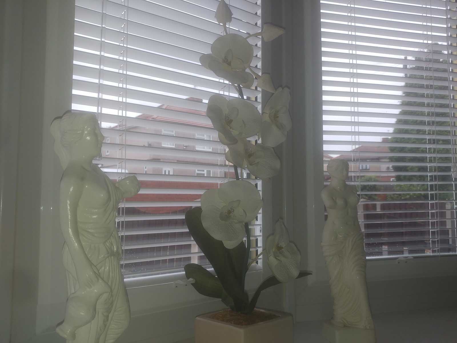 two vertical blinds