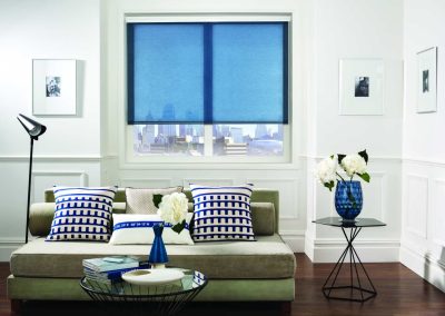 Blue blinds