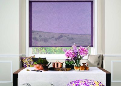 purple blinds
